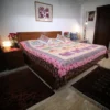 Pink Elephant Design Bedsheet